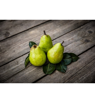 Vilmos körte szörp