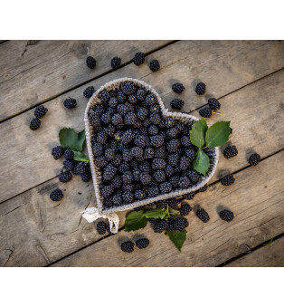 Fekete szeder szörp