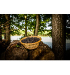 Fekete szeder válogatás