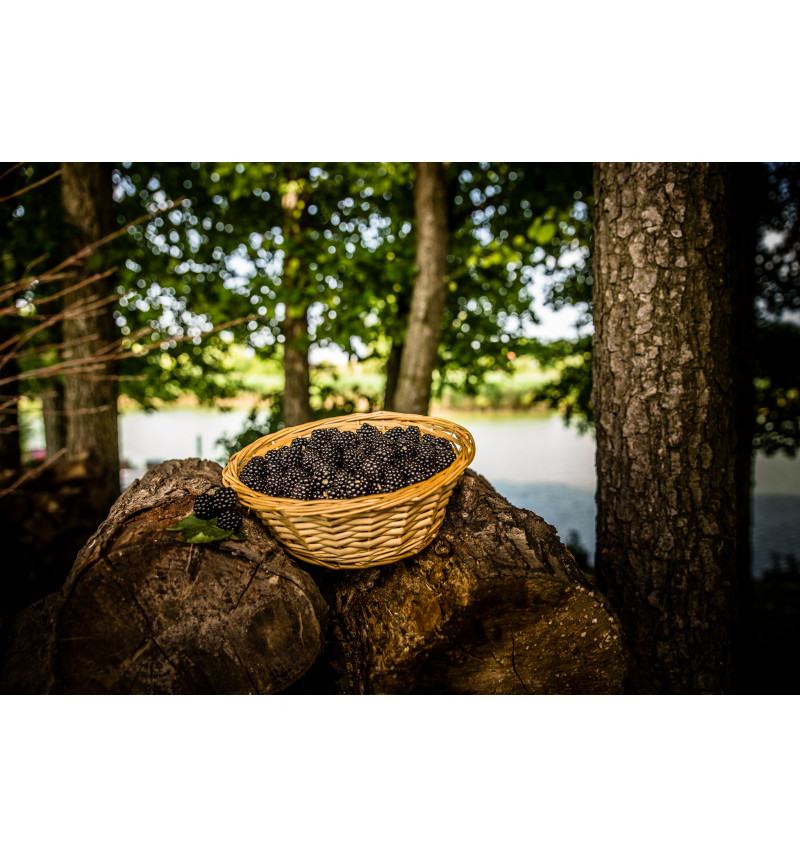 Fekete szeder válogatás